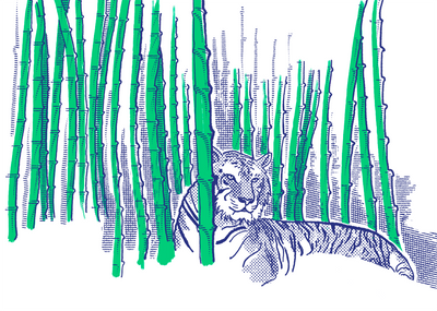 Wat je kunt leren van een tijgertong als je een kledingstuk ontwerpt